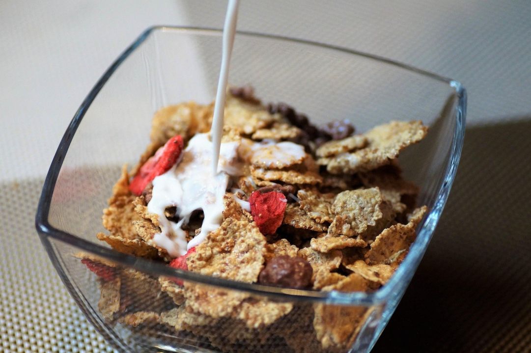 cereal cups with milk