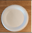  Disposable Plate
